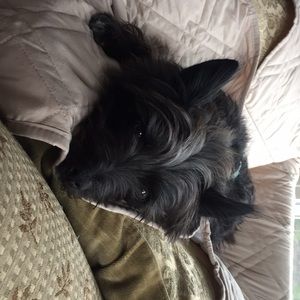 Meet your Posher, Roxane